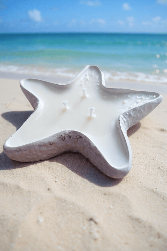 Pack Verano – Estrella + Caracola + Regalo Waxmelts - ZAEVA