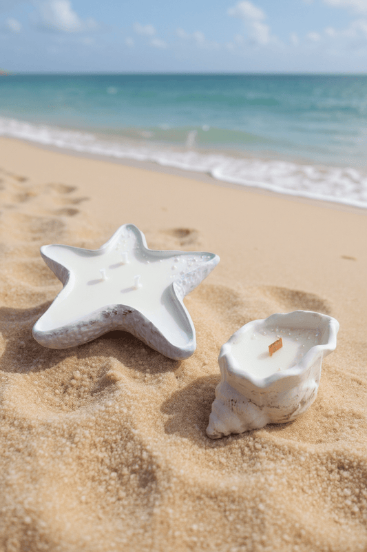 Pack Verano – Estrella + Caracola + Regalo Waxmelts - ZAEVA